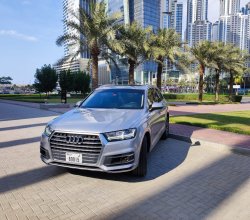 Audi Q7 (Grey), 2019